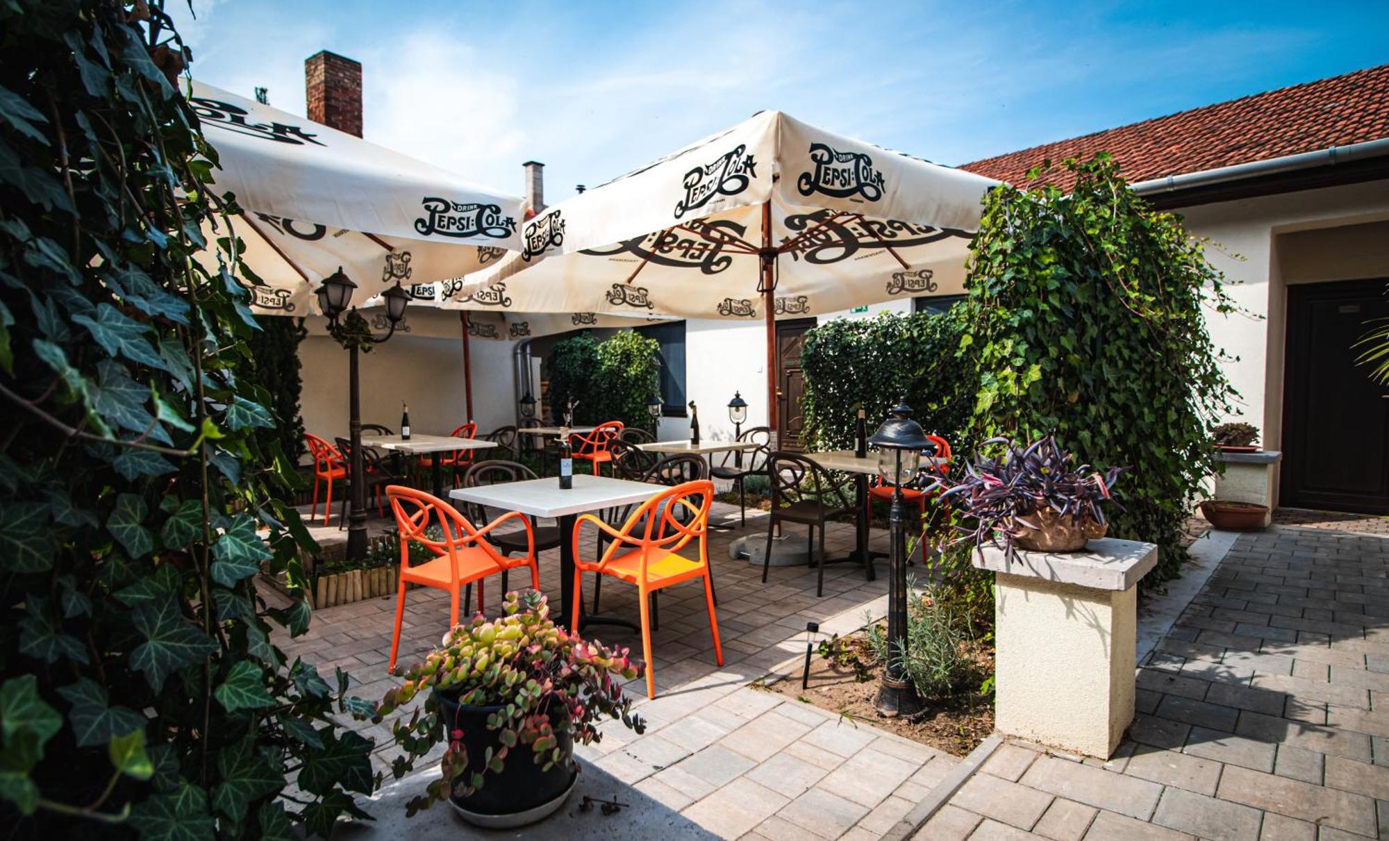Fakapu Pince Es Panzio Bed & Breakfast Tokaj Bagian luar foto